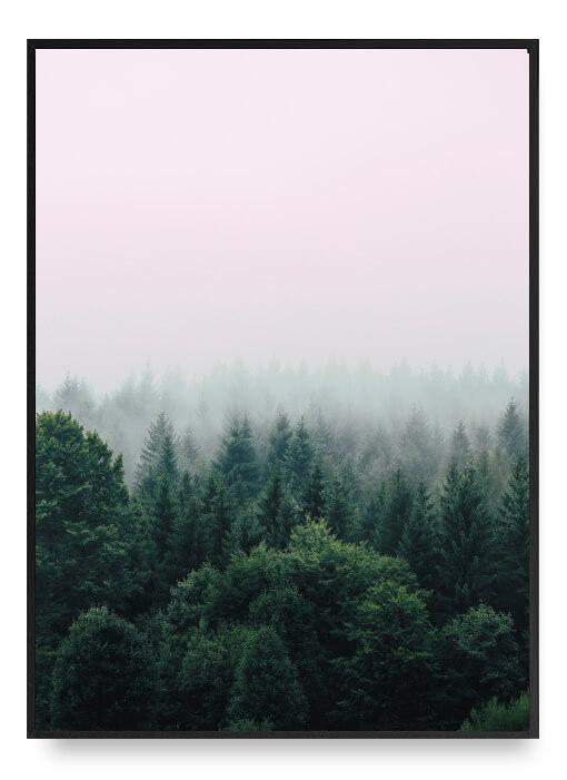 Forest Poster 