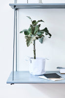 Single Flowerpot - Design Your Home