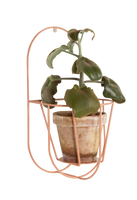 Wall Cibele Plant Holder