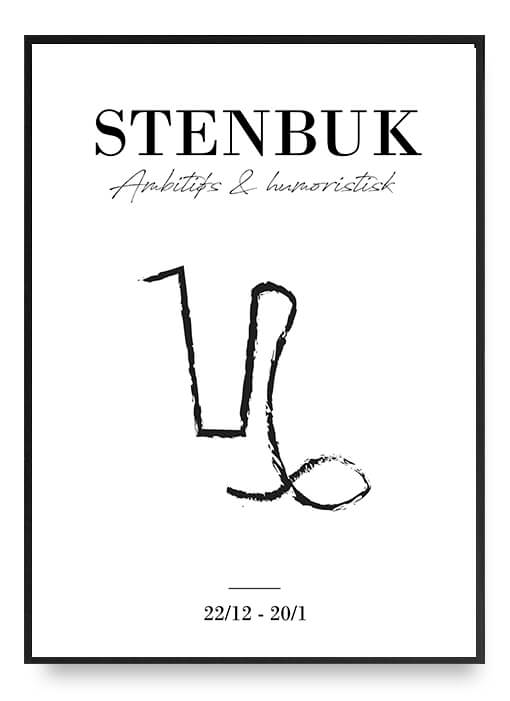 Zodiac - Stenbuk Poster