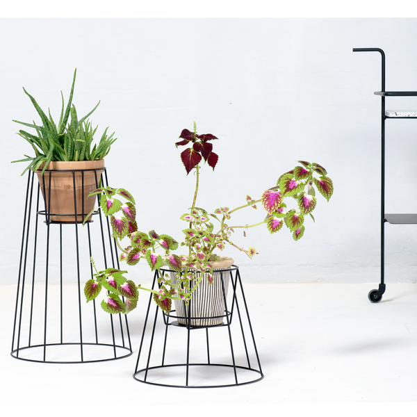 Cibele Plant Stand, Large