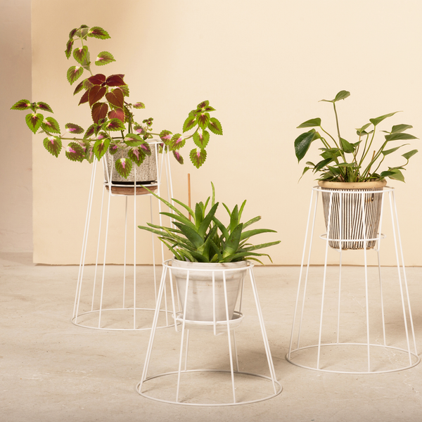 Cibele Plant Stand, Medium