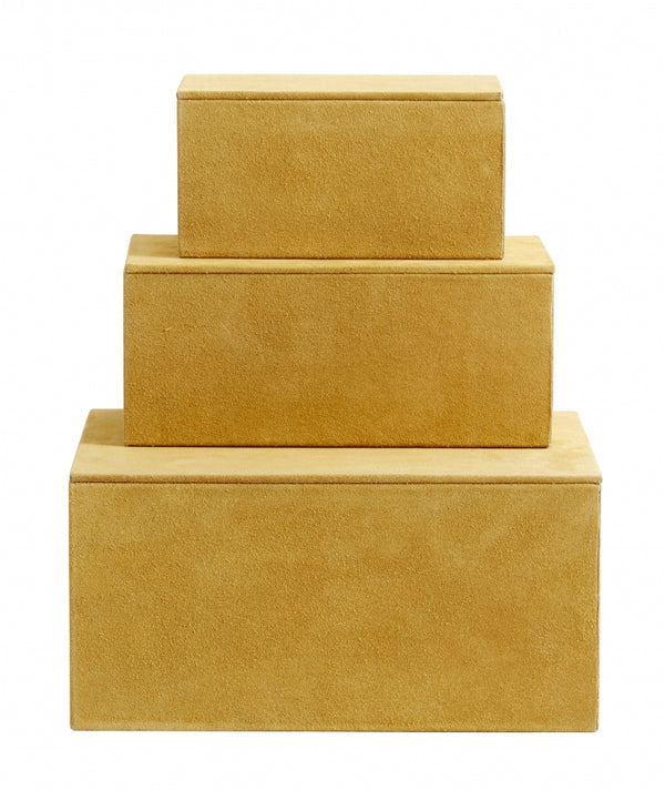 BOX set/3, warm yellow