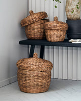 Basket with lid, aske, nature