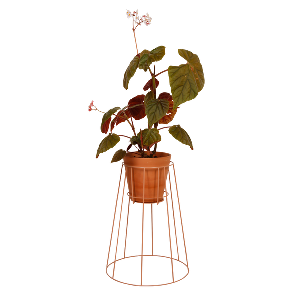Cibele Plant Stand, Medium