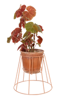 Cibele Plant Stand, Small