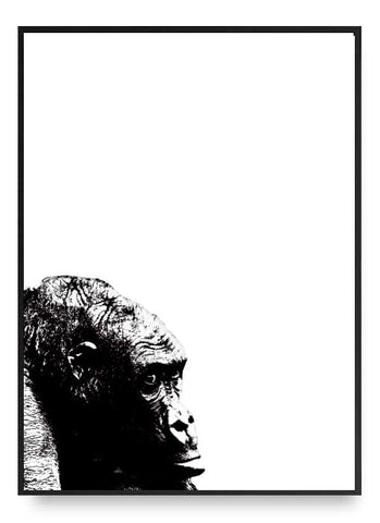Gorilla Poster