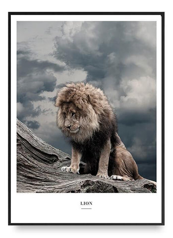 Lion Poster
