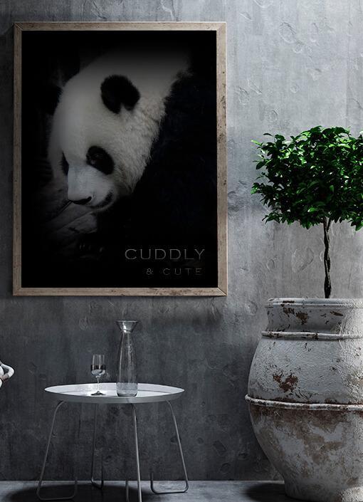 Panda Poster