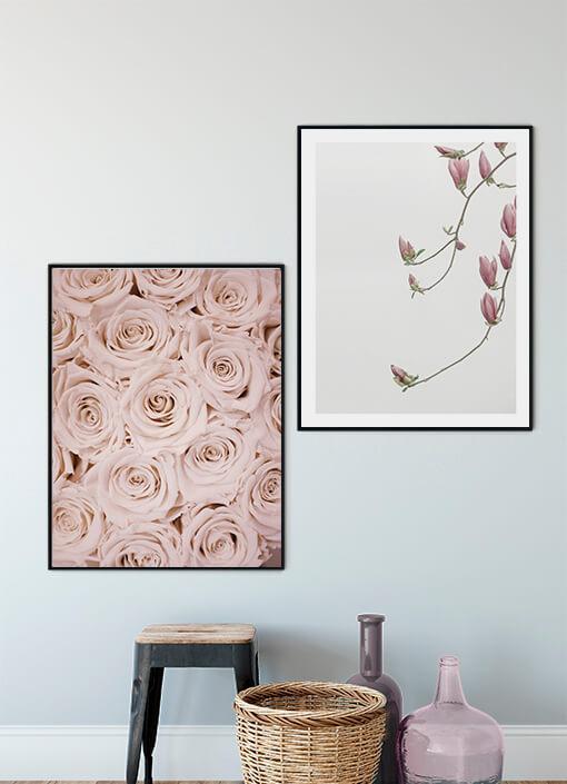 Roses & Dreams Poster