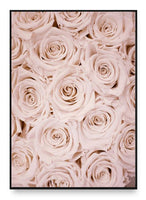 Roses & Dreams Poster