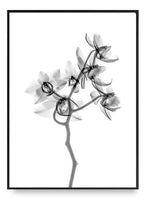 Simple Flower Poster