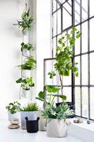 Vertical Flowerpots - Design Your Home