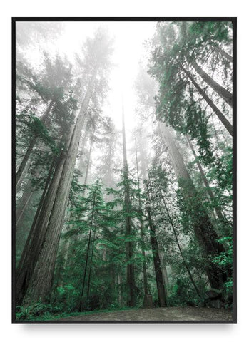 Treetop Poster