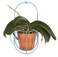 Wall Cibele Plant Holder, Small