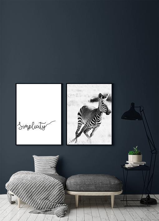 Zebra Poster