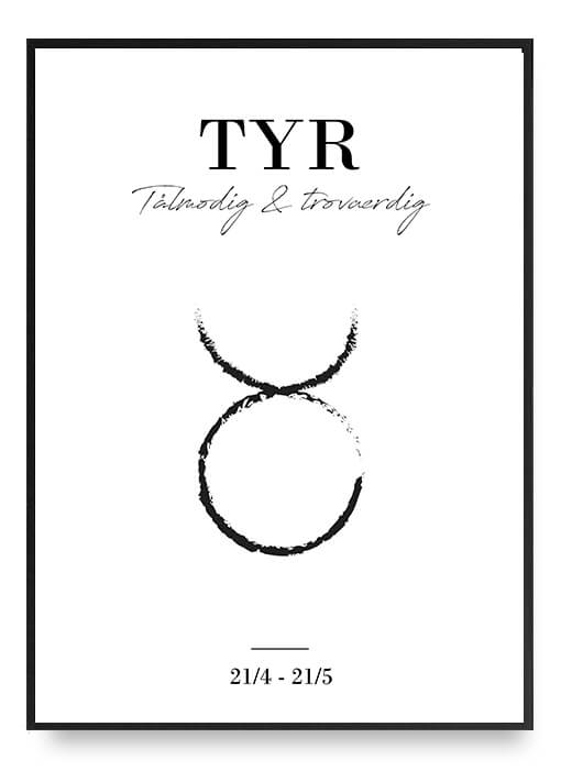 Zodiac - Tyr Poster