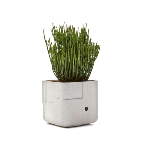 AARDE Square XS