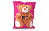 Special Edition XXL Beanbag - Teddy Bear-COL11 - Pink - Design Your Home