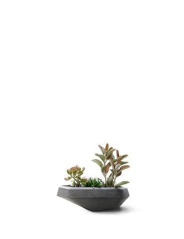 STEEN Small