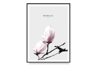 Magnolia In Pink - Design Your Home