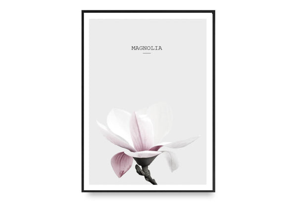 Magnolia In Pink - Design Your Home