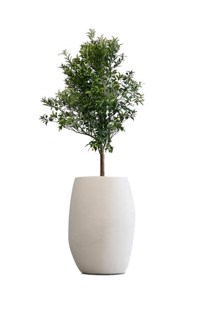 PEBBLE Tall