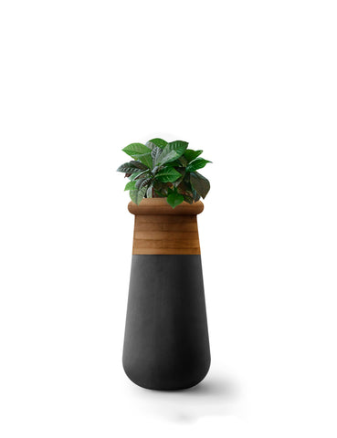 SOMA Slim XS Wood Top
