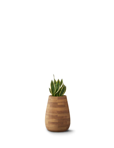 TUBER XS Wood