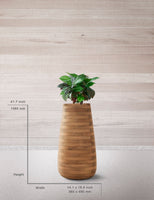 TUBER Tall Wood