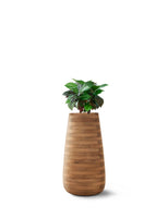 TUBER Tall Wood